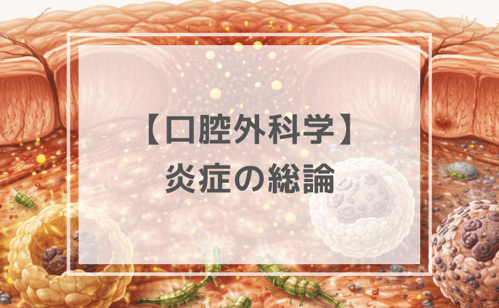 口腔外科学：炎症の総論（計5問）【歯科医師国家試験】（2026年1月18日