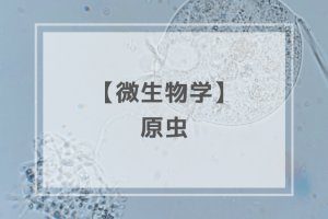 衛生学：真菌（計2問）【歯科医師国家試験】（2025年12月24日更新
