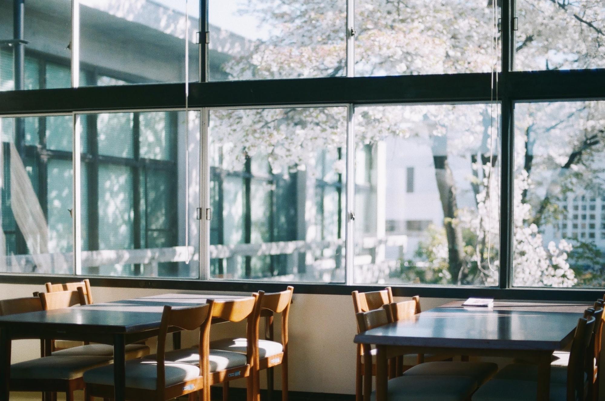 作例レビュー】Nikon FM｜ニコンのフィルムカメラ｜#わたしのカメラ