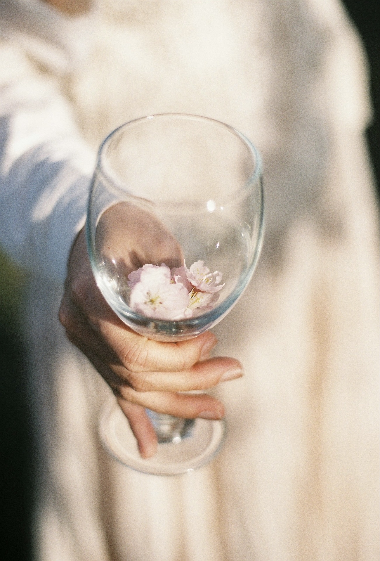 作例レビュー】CONTAX RX #わたしのカメラ vol.201｜コンタックスの