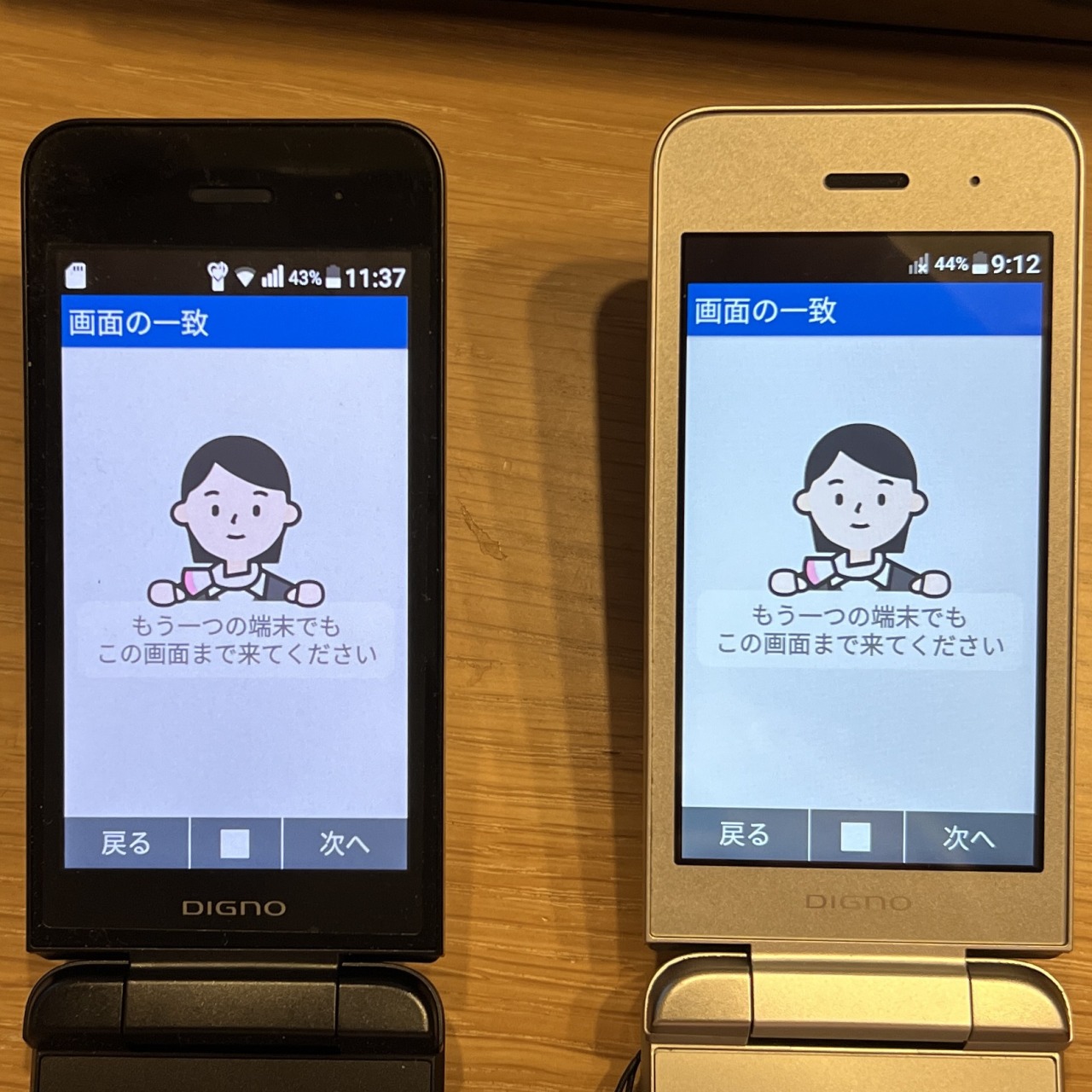 NP902KC DIGNO シルバー 折りたたみ式携帯電話本体 初期化済み 液晶美