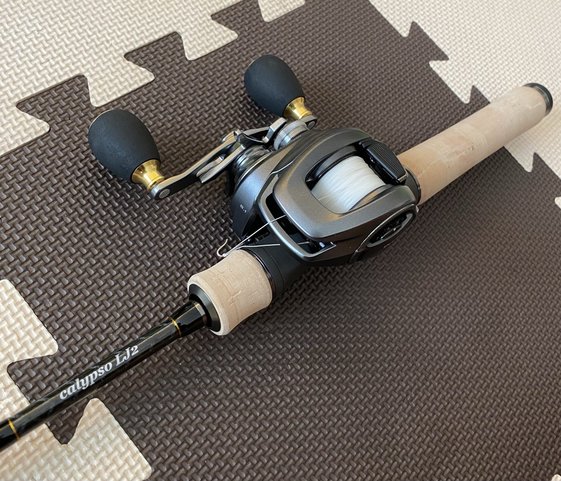 img_9688.jpg?resize=728,624&ssl=1