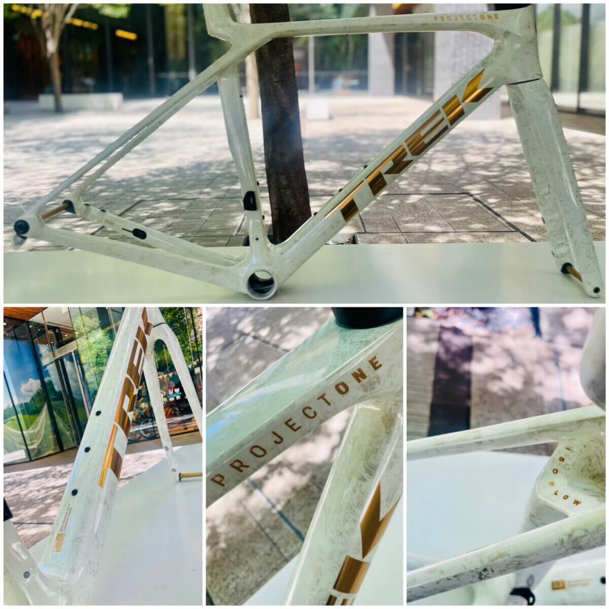 ロードバイク】TREK・PINARELLO限定モデルなど店長おすすめフレーム