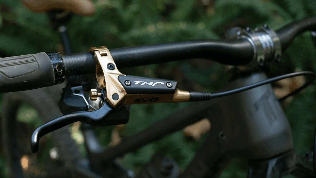 image-1.png?fit=1200,675&ssl=1