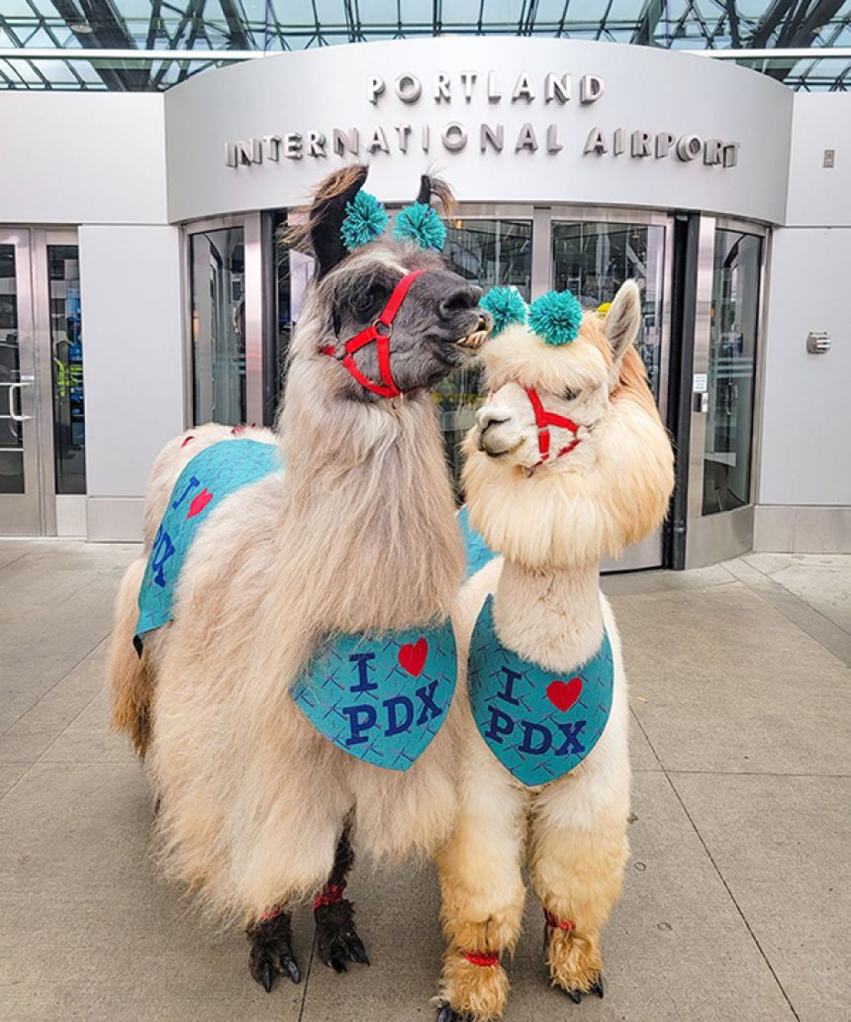 3-40.jpg?crop=1&w=1200&h=900&