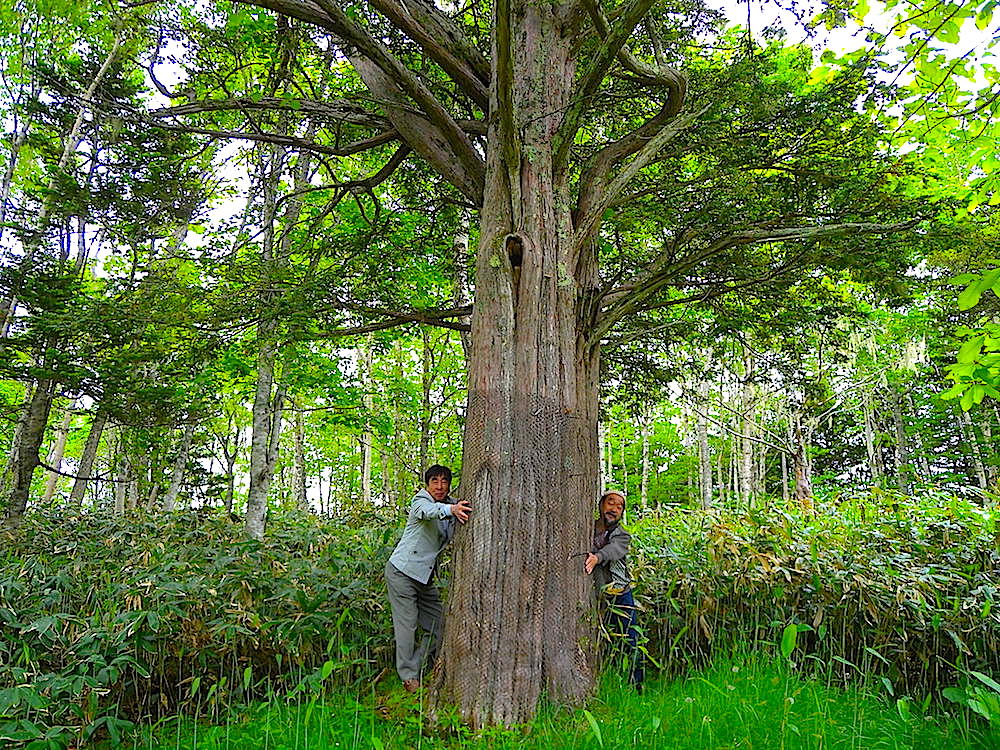 HO050701.jpg?fit=300,225&ssl=1