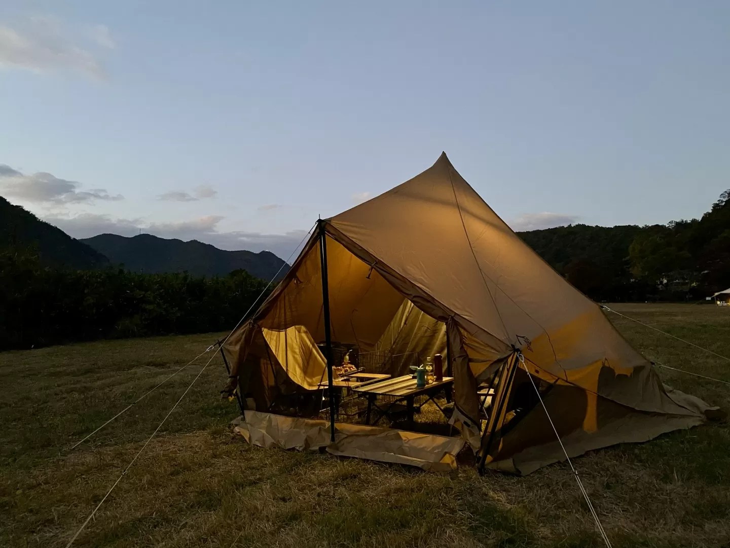 サバティカル モーニンググローリー シンセティックをレビュー