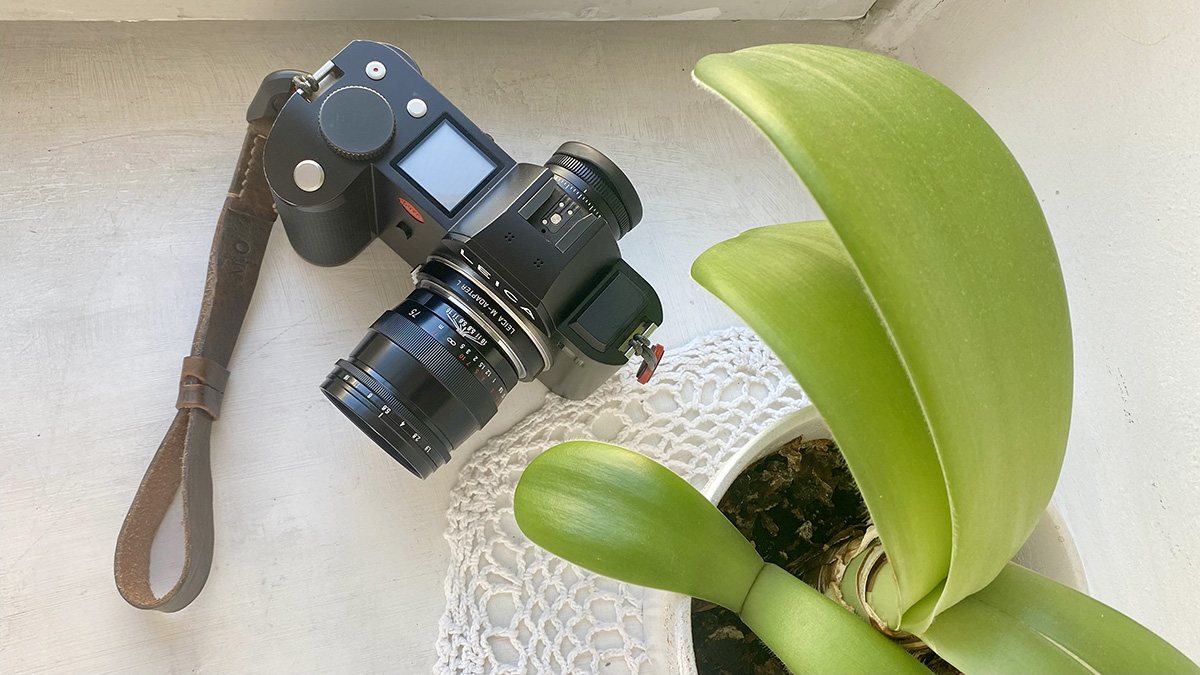 Voigtlander 75mm f1.9 Ultron MC + SC - Leica Blog (Matt Osborne)