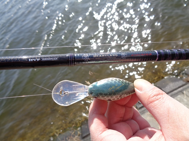 村上調子のバーサタイルロッド！18ハートランド6101MRBをインプレ