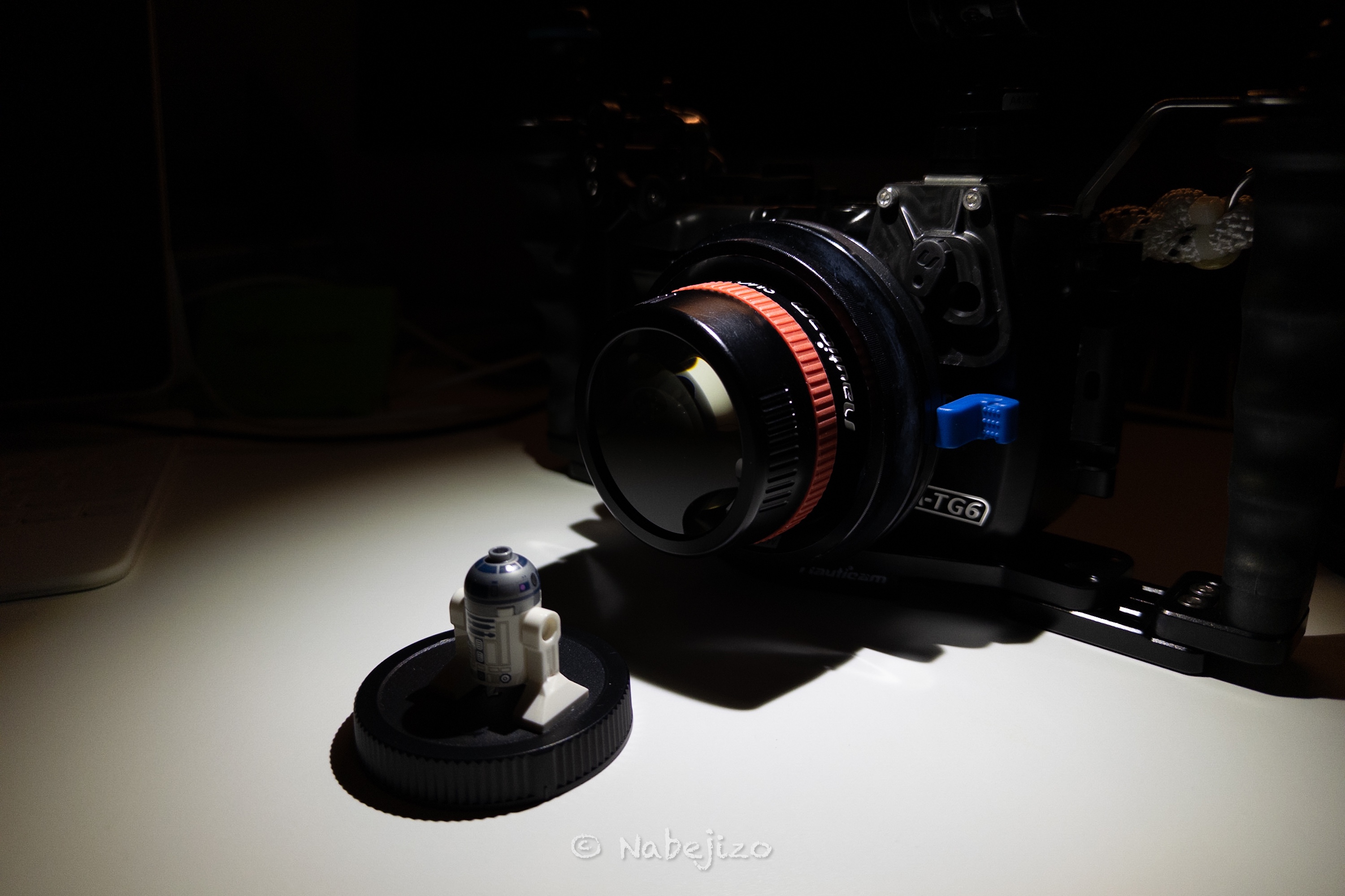 Olympus TG-6：フル装備でワイドから極小マクロまで水中撮影してみまし