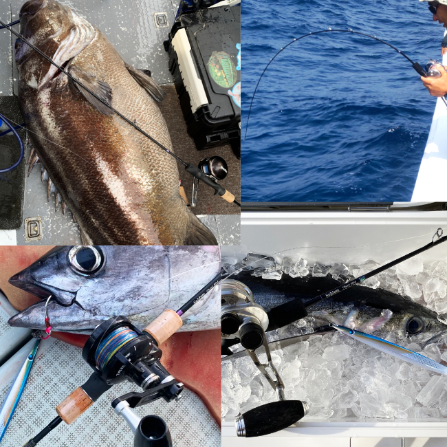 ヒシモ・ソルダムゴースト603、604が入荷しました！ | NABURAな毎日