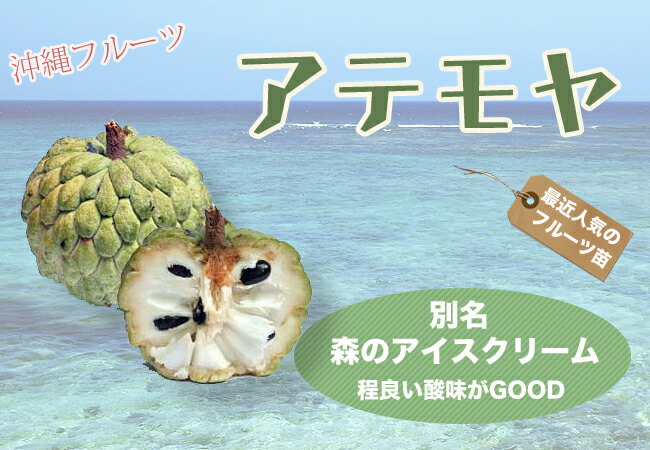 品種不明 接木 アテモヤ の特徴と育て方 | 苗木部の部室 〜苗木、育て