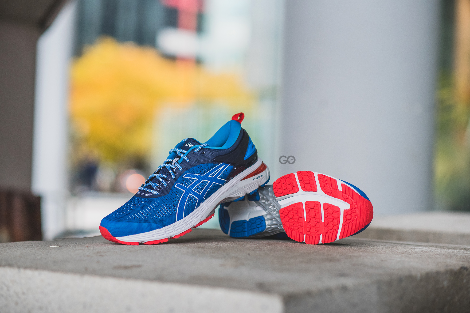 Mita Sneakers x Asics Gel-Kayano 25 “Trico” Review – Sean Go