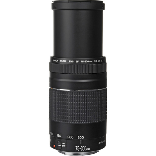 Buy Canon EF 75-300mm f/4-5.6 III Lens from Sharp Imaging