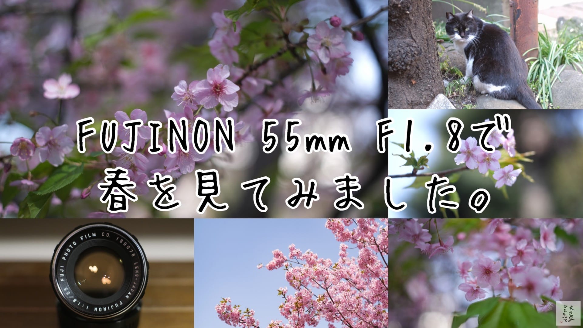 お写んぽ】EBCコーティングではないFUJIFILM FUJINON 55mm F1.8で春を