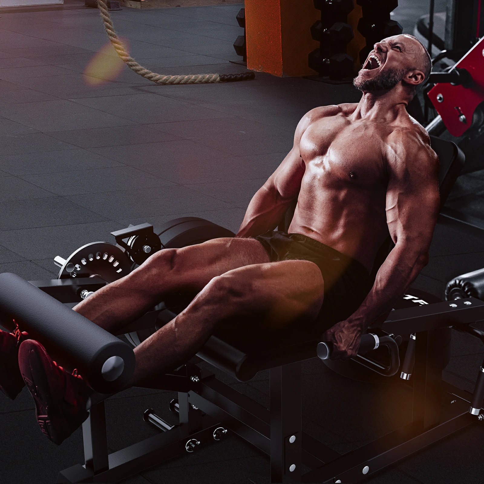 RITFIT PLC01レッグカールマシン Ritfit Japan