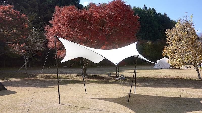 LOD PRODUCTSのヘキサグラムタープをレビュー！ストレッチ素材でピン