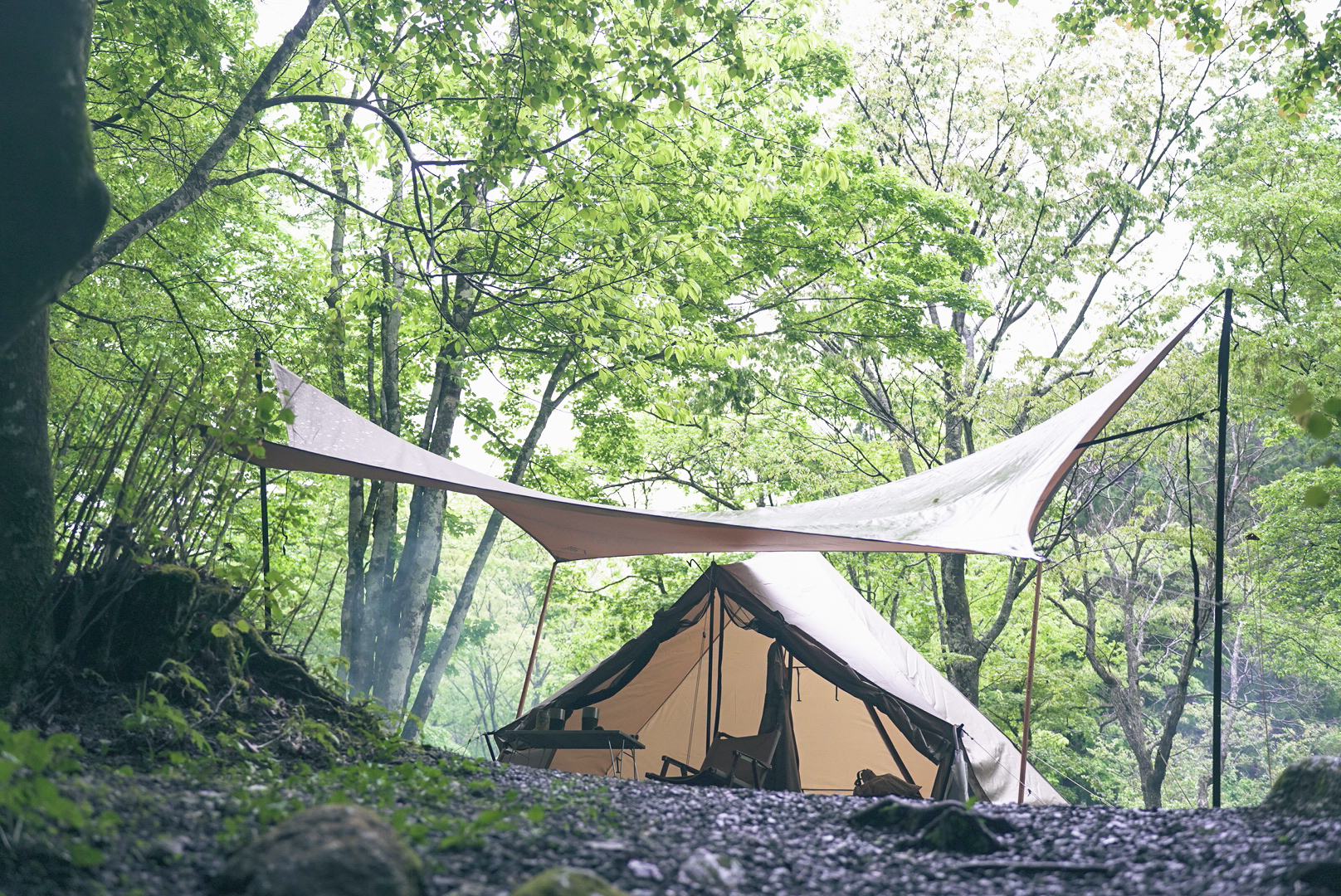 サバティカル「モーニンググローリーシンセティック」レビュー - EMI CAMP