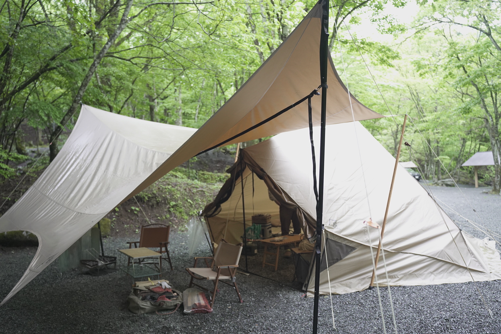 サバティカル「モーニンググローリーシンセティック」レビュー - EMI CAMP