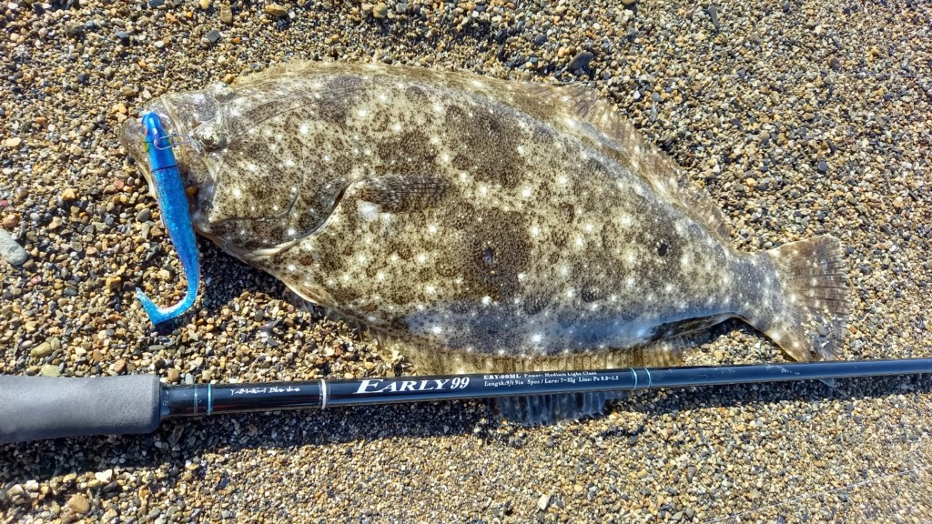 ミドルクラスを網羅】ヤマガブランクスNEWロッドシリーズ「EARLY