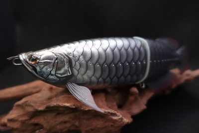 もはやアートの域! ドランクレイジーの【皇( SUMERAGI) アートベイト