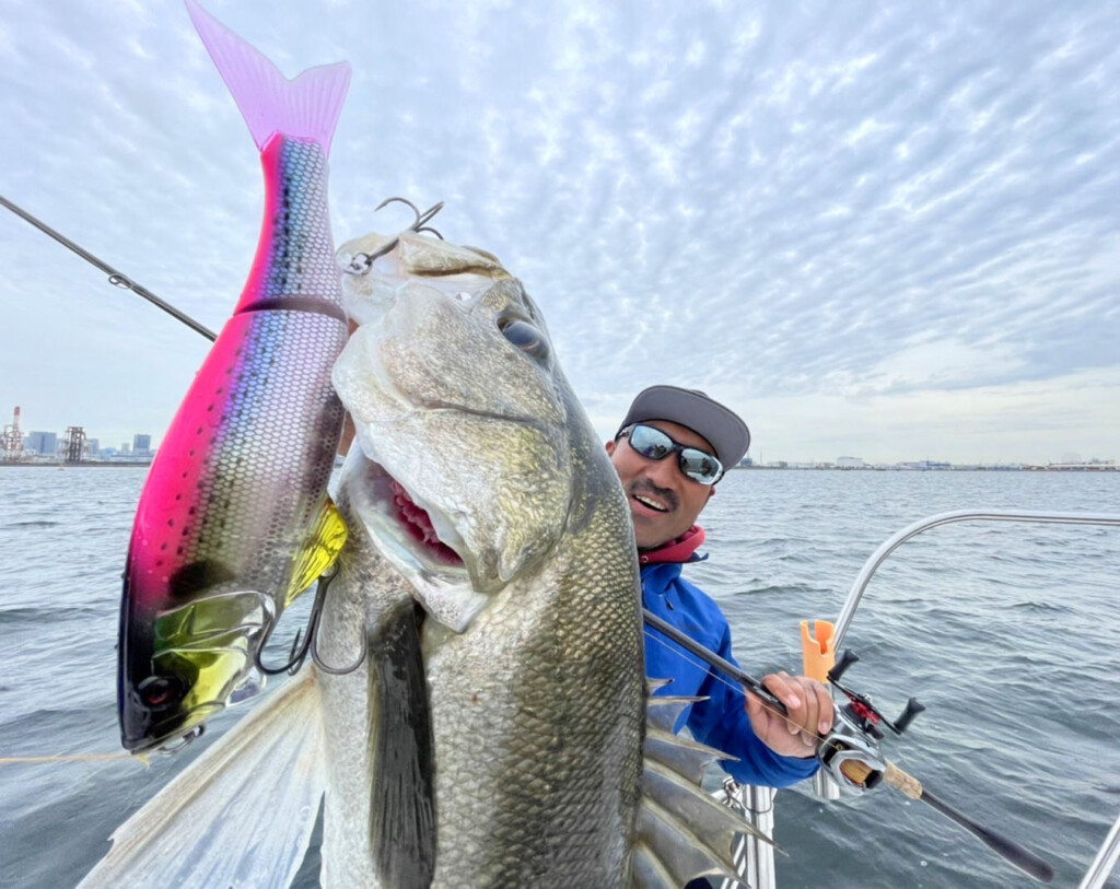 秦拓馬の俺達。通信】東京湾シーバス! ダウズスイマー∞240が鬼ハマり