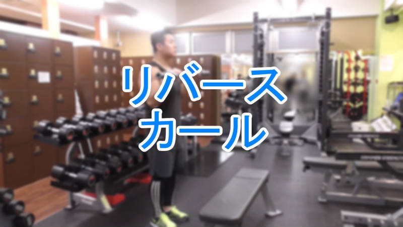 リバースカールで効果の出るやり方と基本フォームを動画で解説