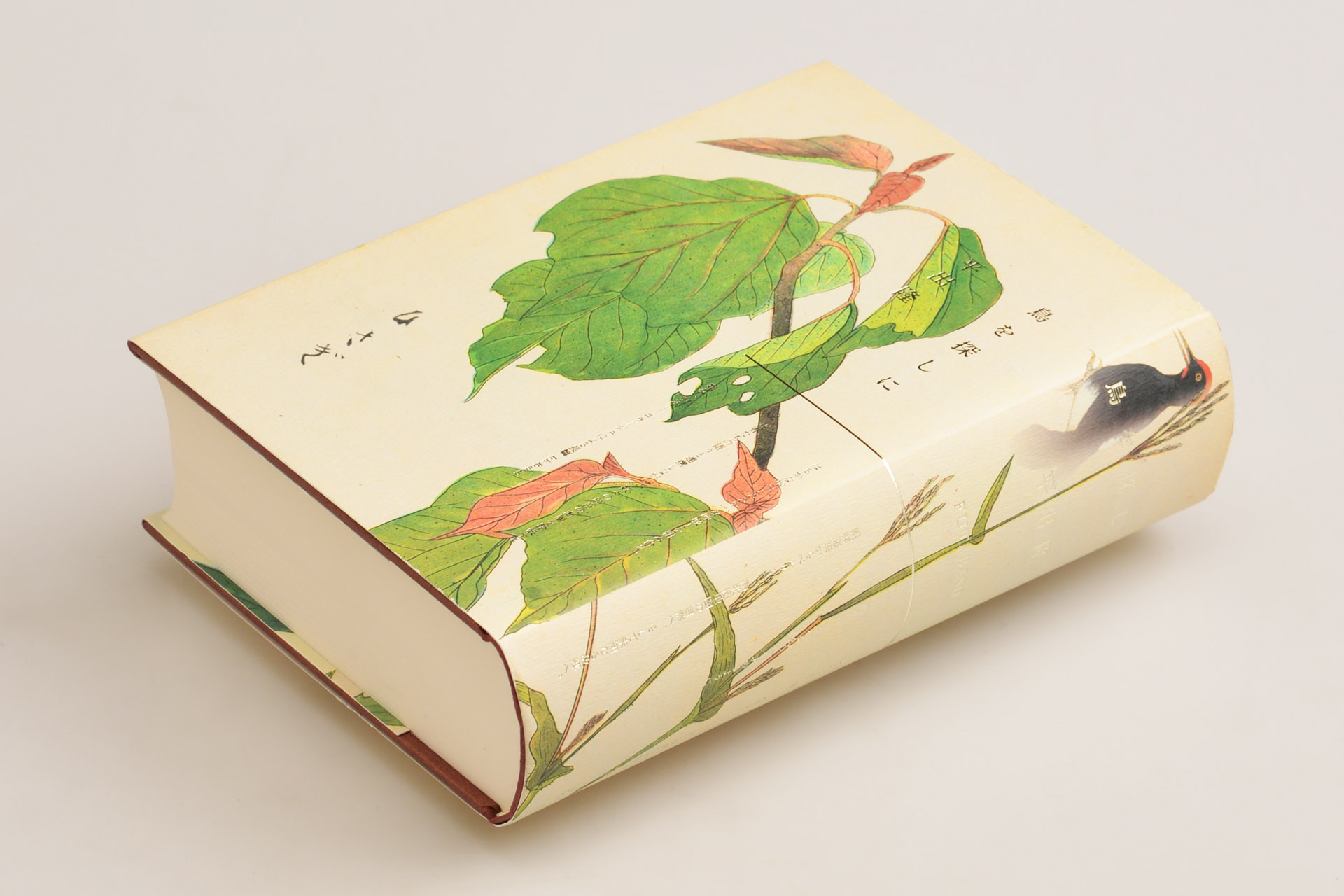 鳥を探しに | takashi HIRAIDE