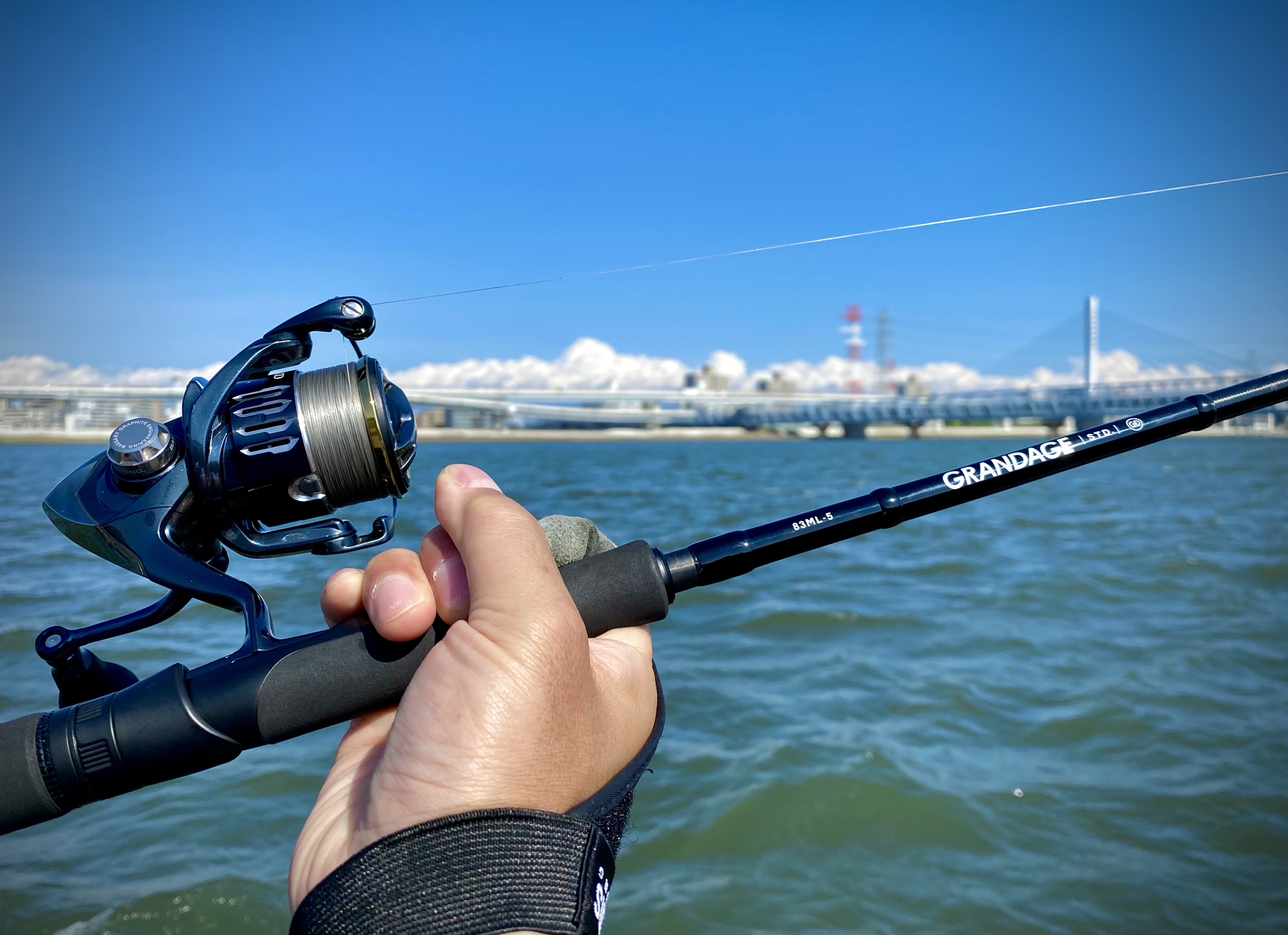 王道シーバスパックロッド】 APIA グランデージ83ML-5 購入直後