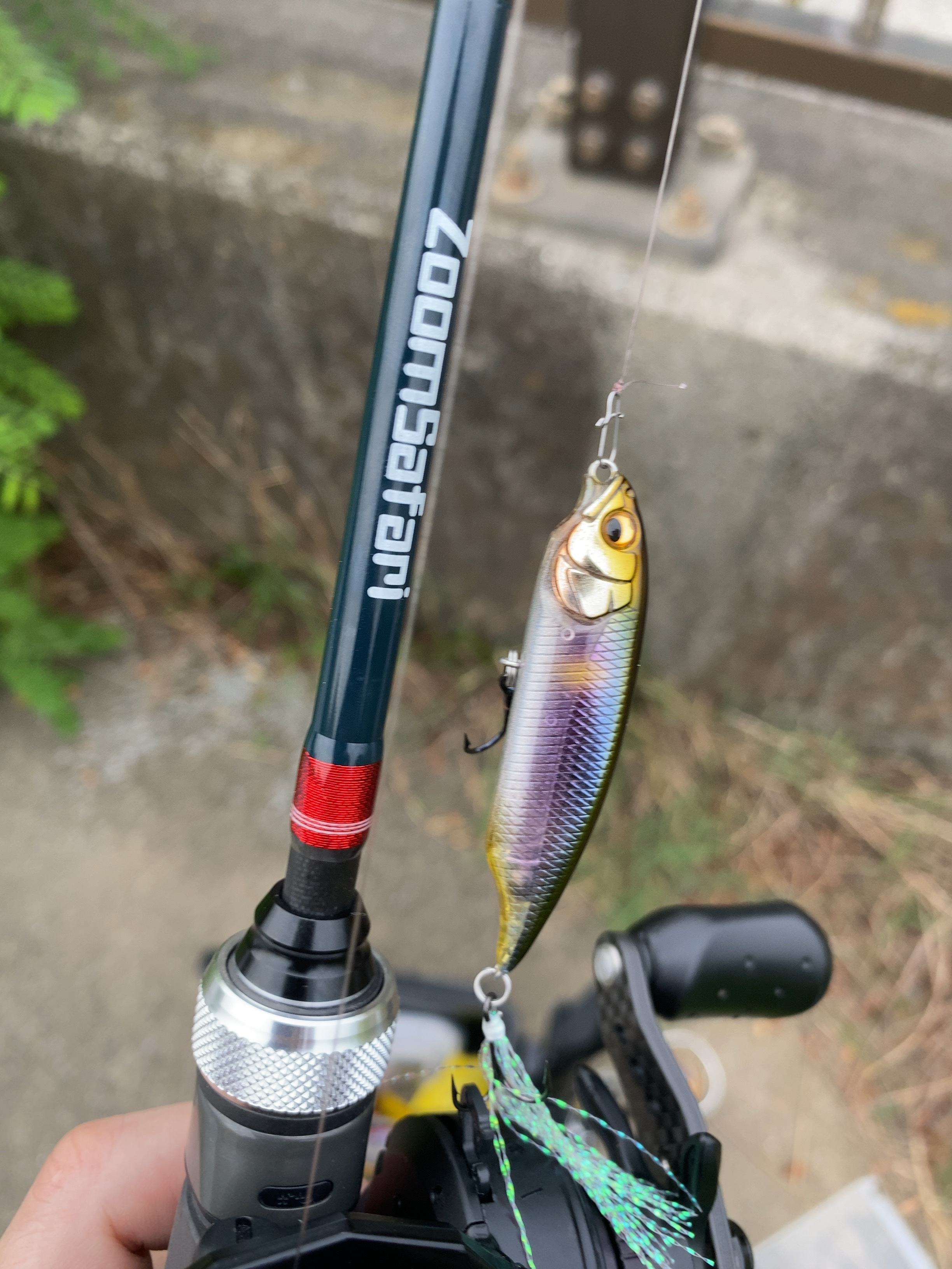 パックロッド】ズームサファリ565Lの投げ感レビュー【ベイトフィネス