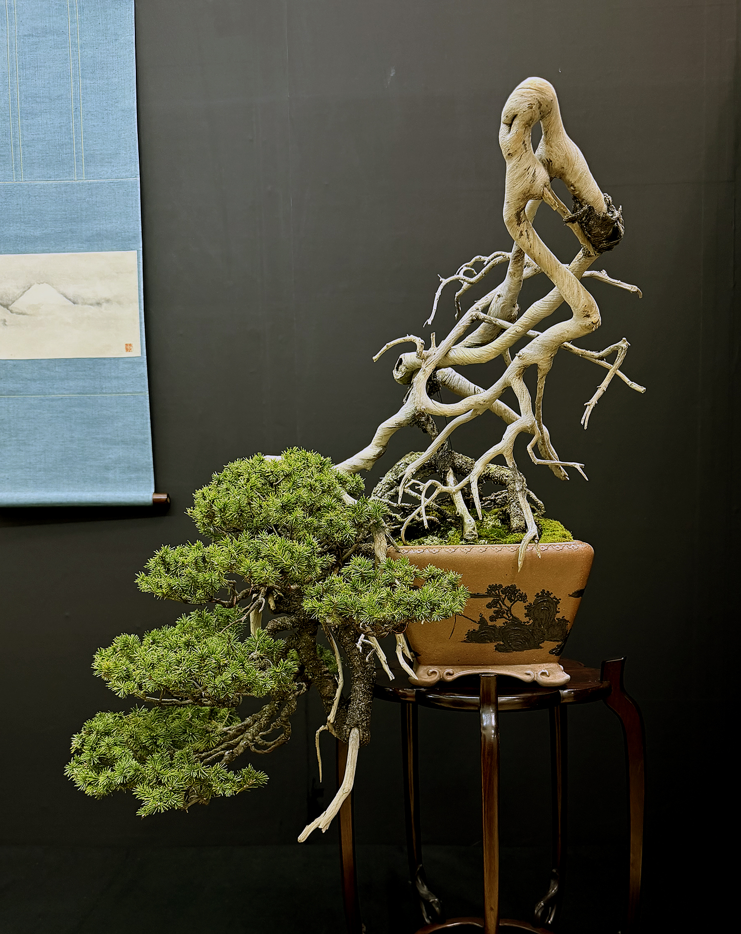 Bonsai Exhibition 2025: Highlights and Visitor Experience