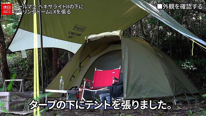 678【野営キャンプ】家の山で栗拾い、コールマン(Coleman) タープ