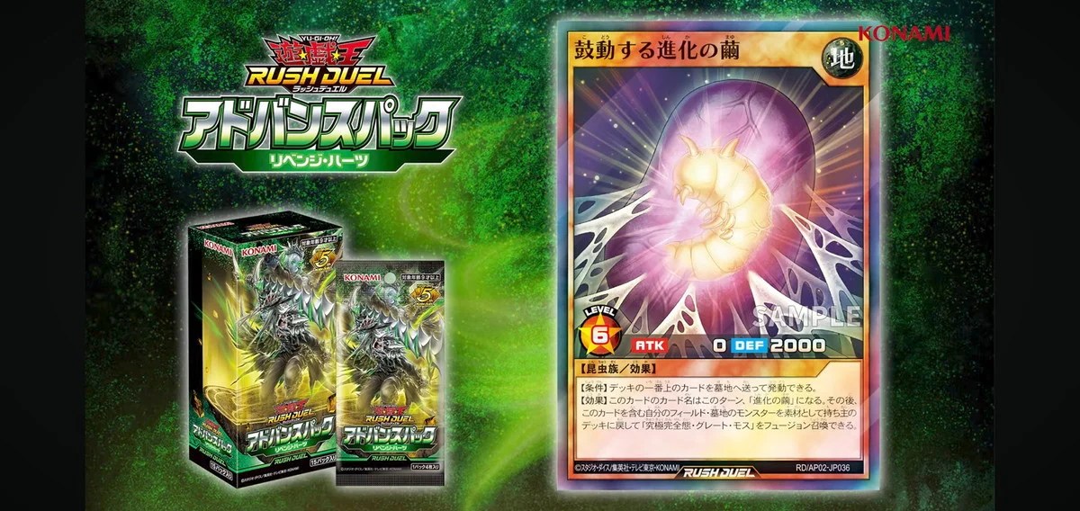 kodou.jpg?resize=1024,485&ssl=1