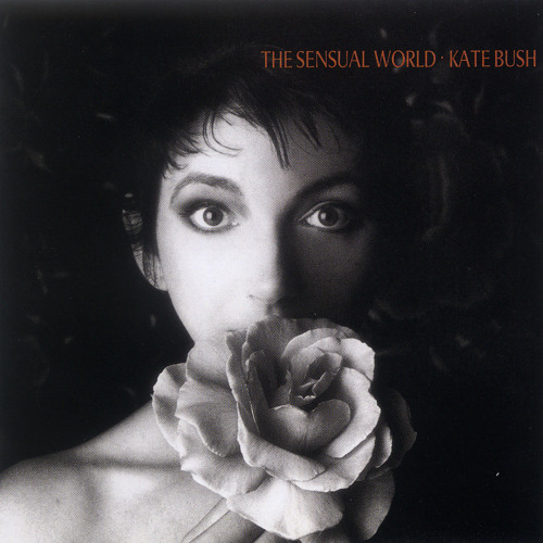 Stream This Woman's Work by Kate Bush | Listen online for free on