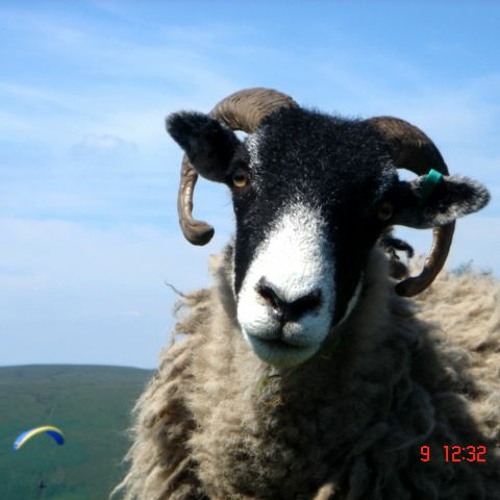 Stream LIL Fiji | Listen to The Tuss - Rushup Edge (Bonus Tracks +