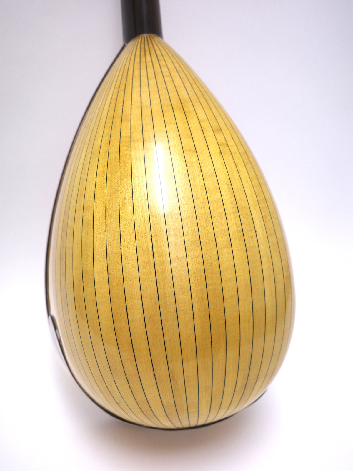 カラーチェマンドラ クラシコB Special | イケガク