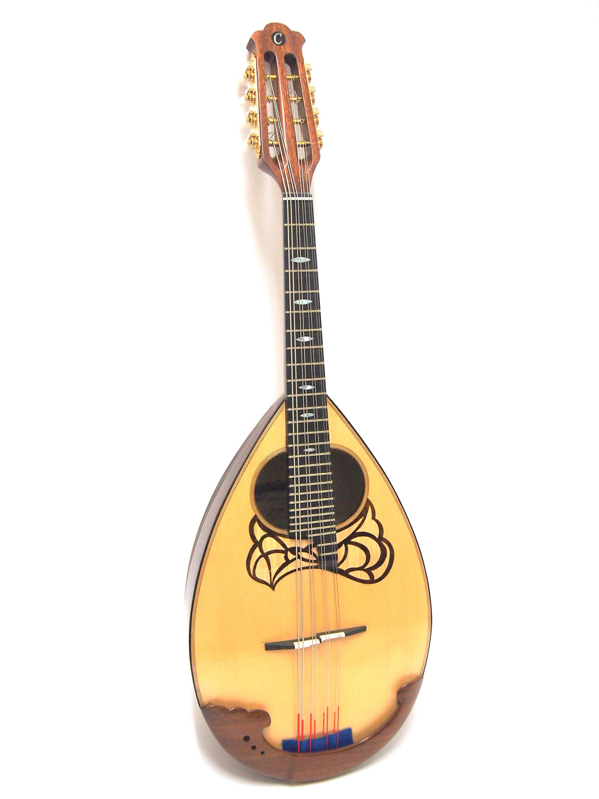 P1019385_1200x.jpg?v=1676621292