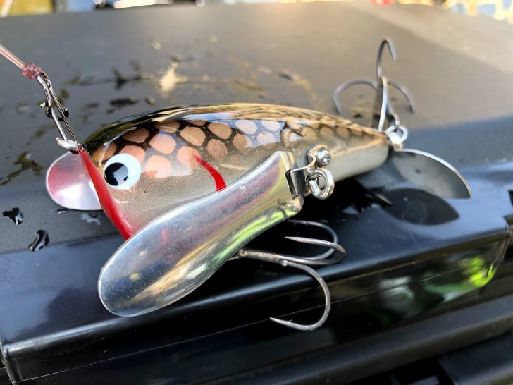 ヤマトクローラー [四国ヤマト屋xスキルフル] インプレ。愛嬌×使いやす