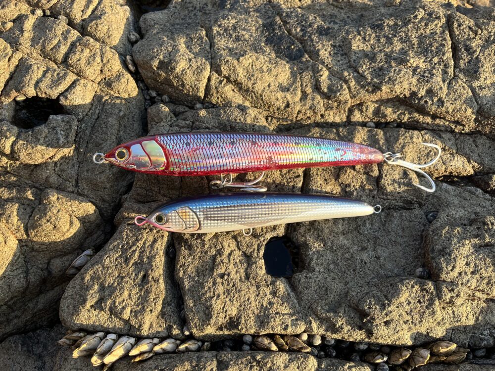 初心者向け】ラピードF230の使い方のコツ解説！ヒラマサが釣れる理由は