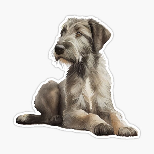 st,medium,507x507-pad,600x600,