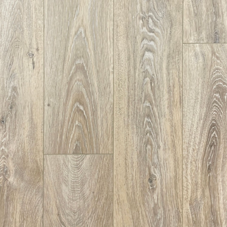 Mesa Ridge Honeybee 7