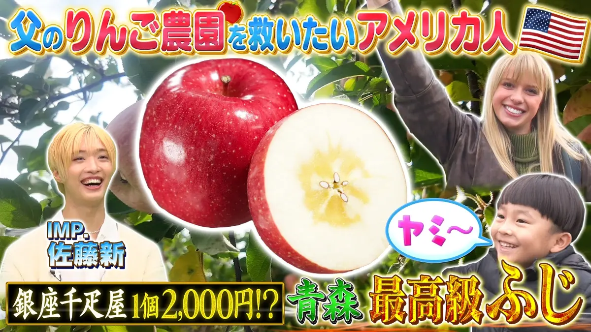 世界！ニッポン行きたい人応援団 12月22日(月)放送分 テーマ「りんご