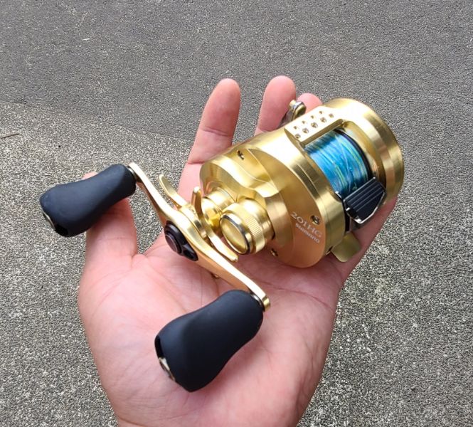 オシアではない！「21カルカッタコンクエスト」がライトジギング・鯛