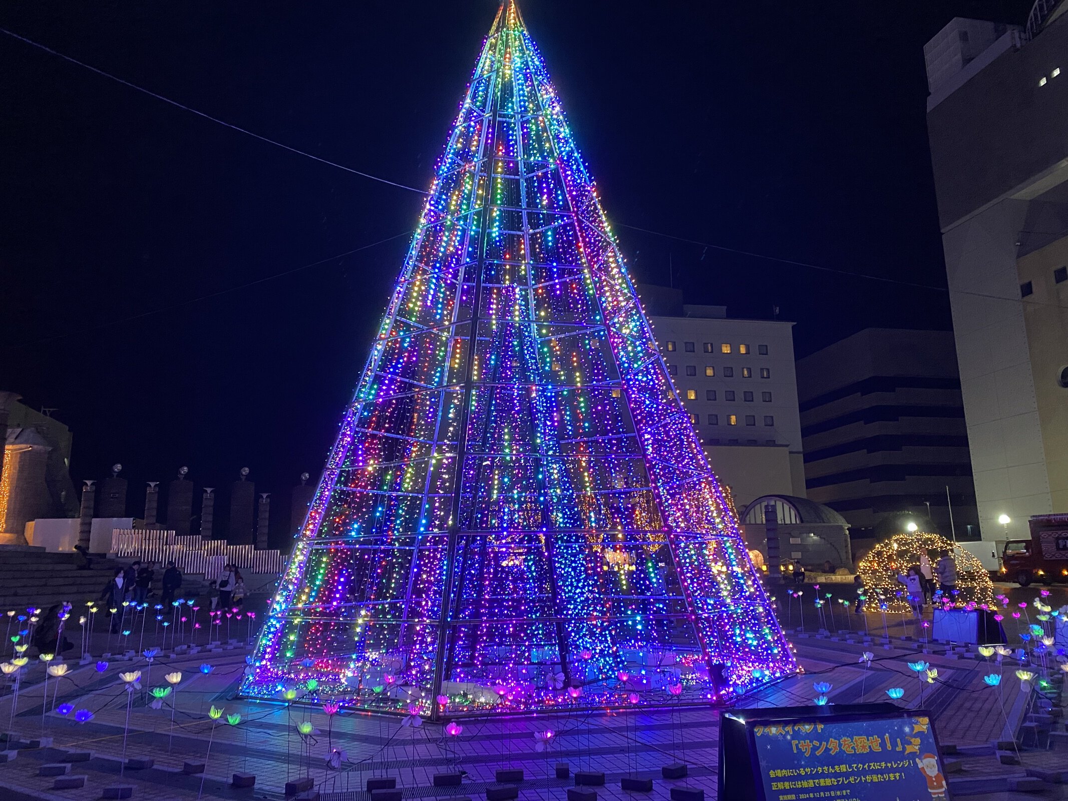 Hitachi Starlight Illumination 2025 (ヒタチスターライト