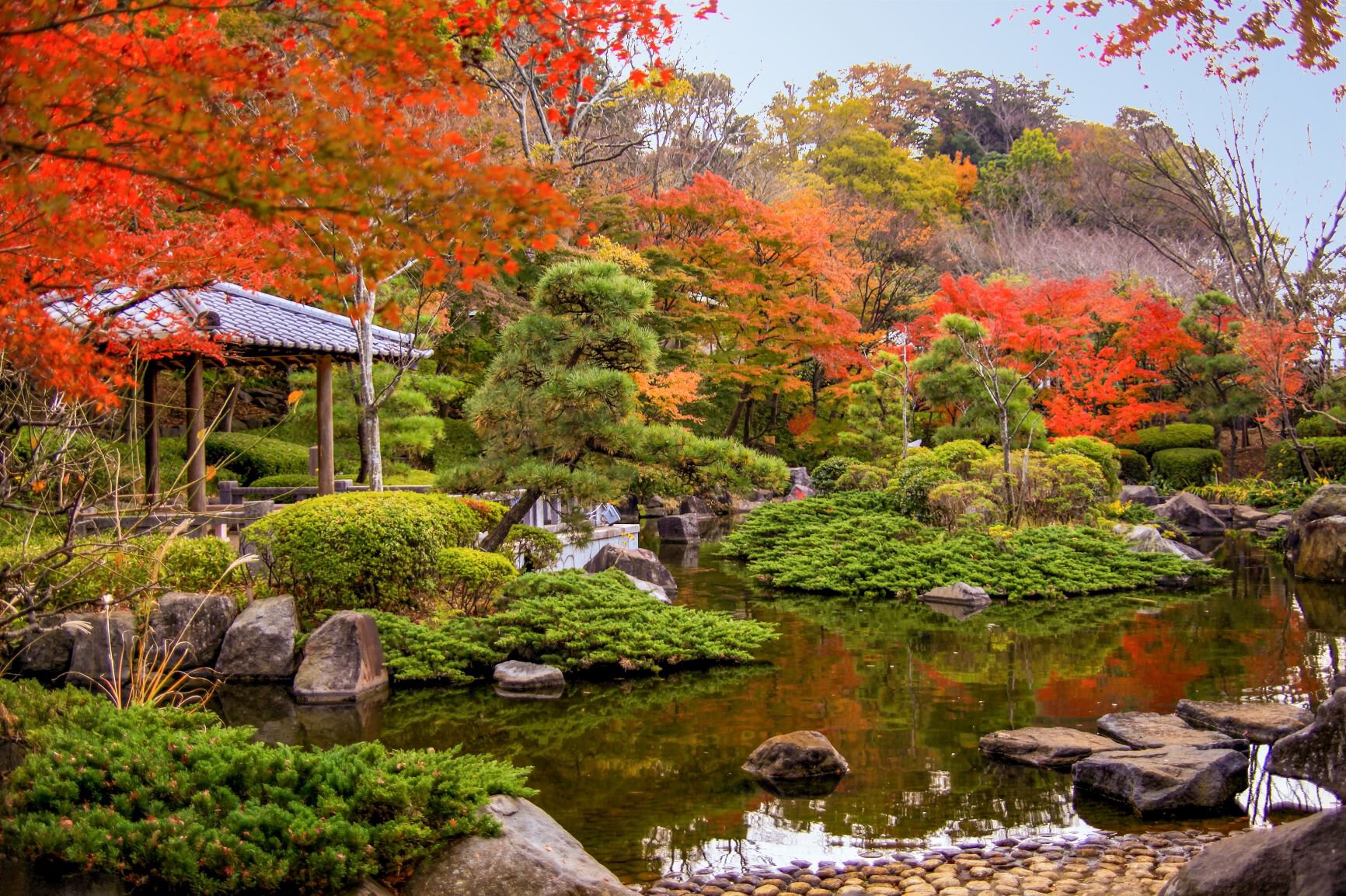大磯城山公園の紅葉(神奈川県) ｜紅葉名所2025