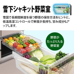 ヨドバシ.com - シャープ SHARP プラズマクラスター冷蔵庫 （502L