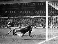 【新品】1966 ワールドカップ イングランド大会 W杯決勝で生まれた疑惑のゴール 半世紀以上も論争、サッカー母国初Vを