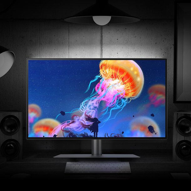 PD2506Q/PD2506Q-JP | 25インチ USB Type-C, sRGB/Rec.709対応 WQHD