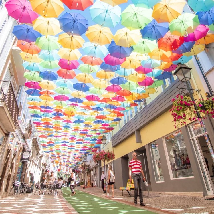 naoさんの投稿/アゲダ ｜ ことりっぷ