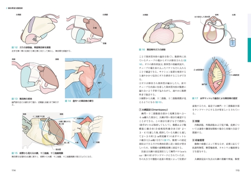 牛の臨床 牛の臨床検査診断 |本 | 通販 | Amazon